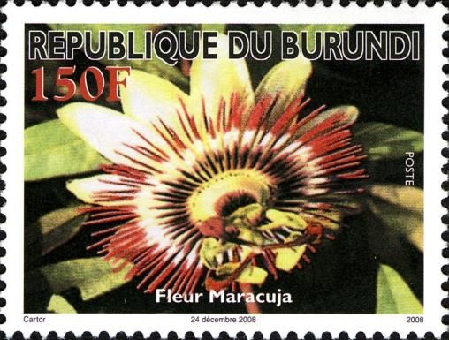 Maracuja