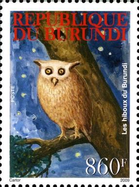 Owls of Burundi
