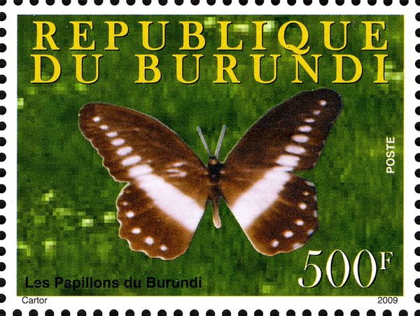 White-banded Swallowtail (Papilio echerioides)