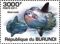 Mola mola