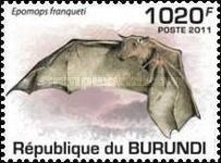 Franquet's Epauletted Fruit Bat (Epomops franqueti)