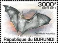 Common Vampire Bat (Desmodus rotundus)