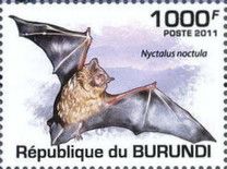 Common Noctule (Nyctalus noctula)