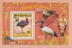 Glossy Ibis (Plegadis falcinellus)