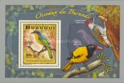 Sulphur-breasted Bushshrike (Chlorophoneus sulfureopectus)