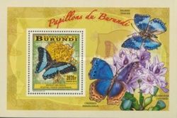 Broadly Green-banded Swallowtail (Papilio bromius)