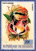 Gloriosa
