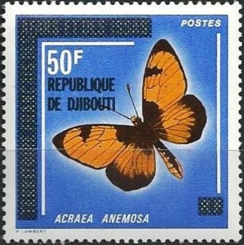 Broad Bordered Acraea (Acraea anemosa) 