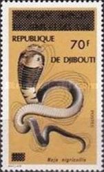 Black-necked Spitting Cobra (Naja nigricollis)
