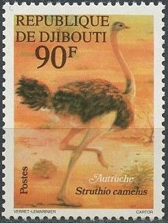 Common Ostrich (Struthio camelus)