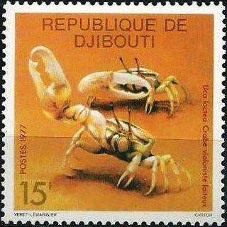 Milky Fiddler Crab (Uca lactea)