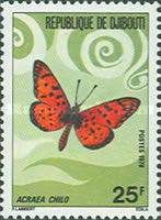 Nymphalid Butterfly (Acraea chilo)