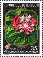 Hibiscus schizopetalus