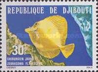 Yellow Tang (Zebrasoma flavescens)
