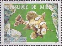 Harlequin Sweetlips (Plectorhinchus chaetodonoides)