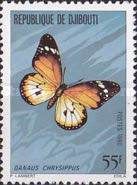 African Monarch (Danaus chrysippus)