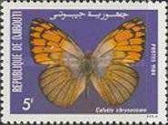 Golden Arab Tip (Colotis chrysonome)