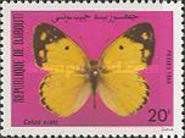 Pale Clouded Yellow (Colias erate)