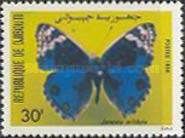 Blue Pansy (Junonia orithyia)