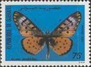 Window Acraea (Acraea doubledayi)