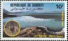 Lake Assal,Oryx
