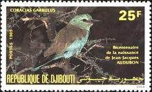 European Roller (Coracias garrulus)