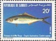Rainbow Runner (Elagatis bipinnulatus)