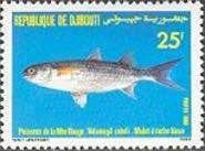 Bluespot Mullet (Valamugil seheli)