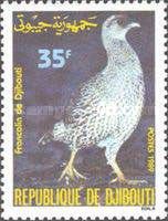 Djibouti Spurfowl (Francolinus ochropectus)