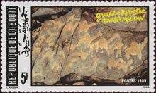 Petroglyphs, Prehistoric Cave Painting