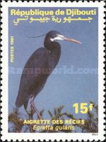 Western Reef-Heron (Egretta gularis)
