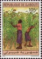 World Food Day