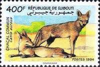 Golden Jackals (Canis Aureus)
