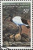 Sacred Ibis (Threskiornis aethiopicus)