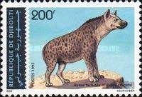 Spotted Hyena (Crocuta Crocuta)