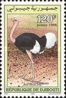 Common Ostrich (Struthio camelus)