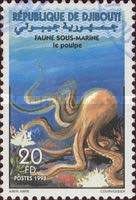 Octopus (Octopus sp.)