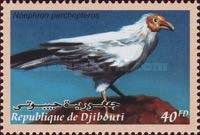 Egyptian Vulture (Neophron percnopterus)
