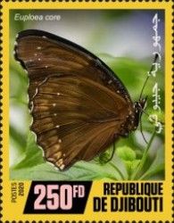 Euploea core