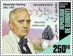 65th Anniversary of the Death of Alexander Fleming