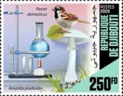 65th Anniversary of the Death of Alexander Fleming