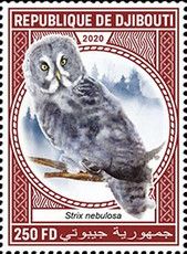 Great Grey Owl (Strix nebulosa)