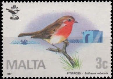 European Robin (Erithacus rubecula)