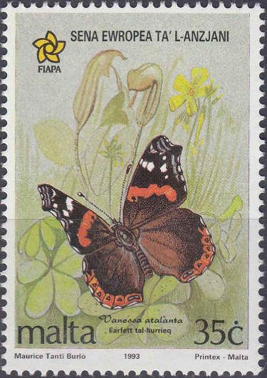 Red Admiral (Vanessa atalanta)