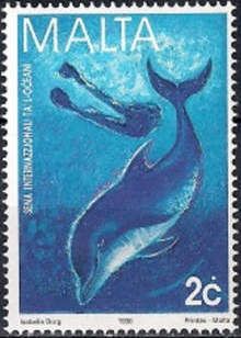 Dolphin and Diver