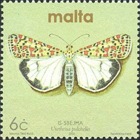 Crimson-speckled Flunkey (Utetheisa pulchella)