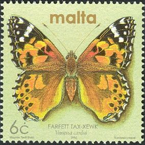 Painted Lady (Vanessa cardui)