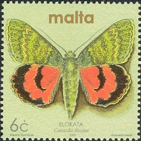 French Red Underwing (Catocala elocata)