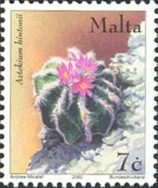 Aztekium hintonii (cactus)