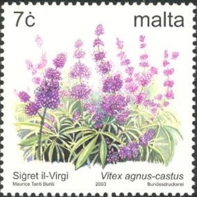 The Virgin Bush (Vitex agnus-castus)